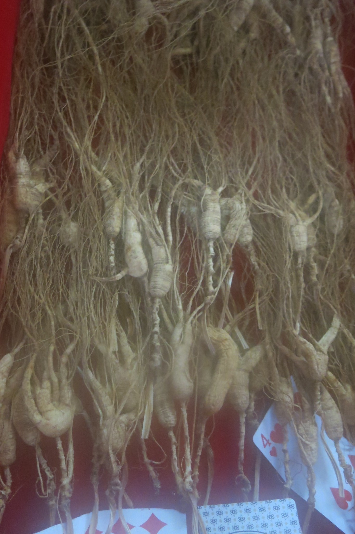 敦化有多少人口_敦化大佛(3)