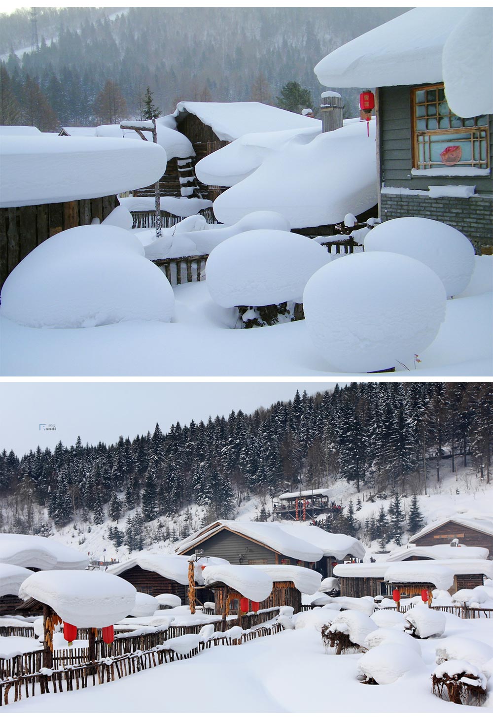 【哈尔滨出发,雪谷 雪乡 亚布力】厉害了,我的大东北!