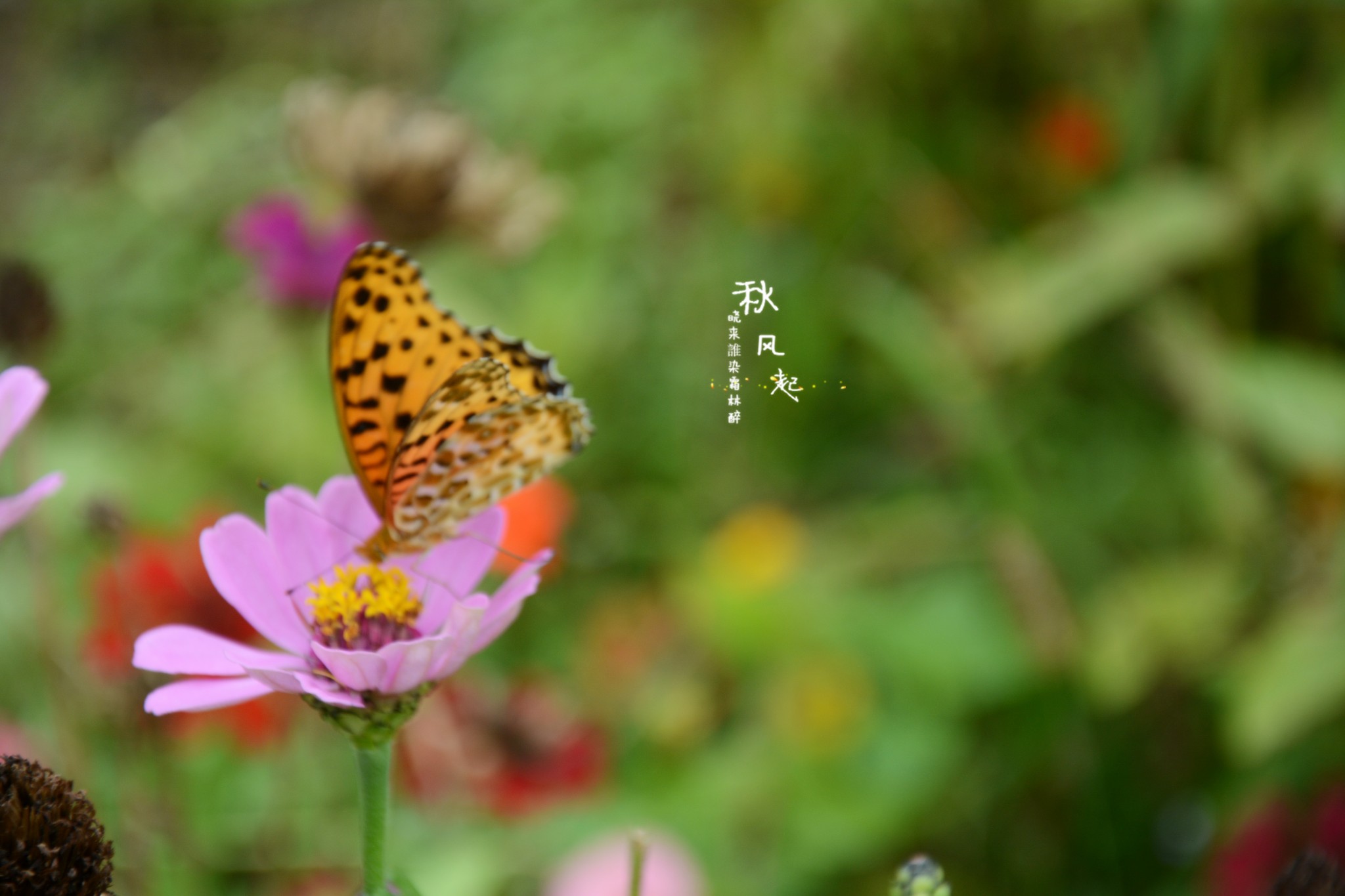 wKgBs1gsQ3qAXZNxAATmQjavlQw62.jpeg?imageView2%2F2%2Fw%2F600%2Fh%2F600%2Fq%2F90
