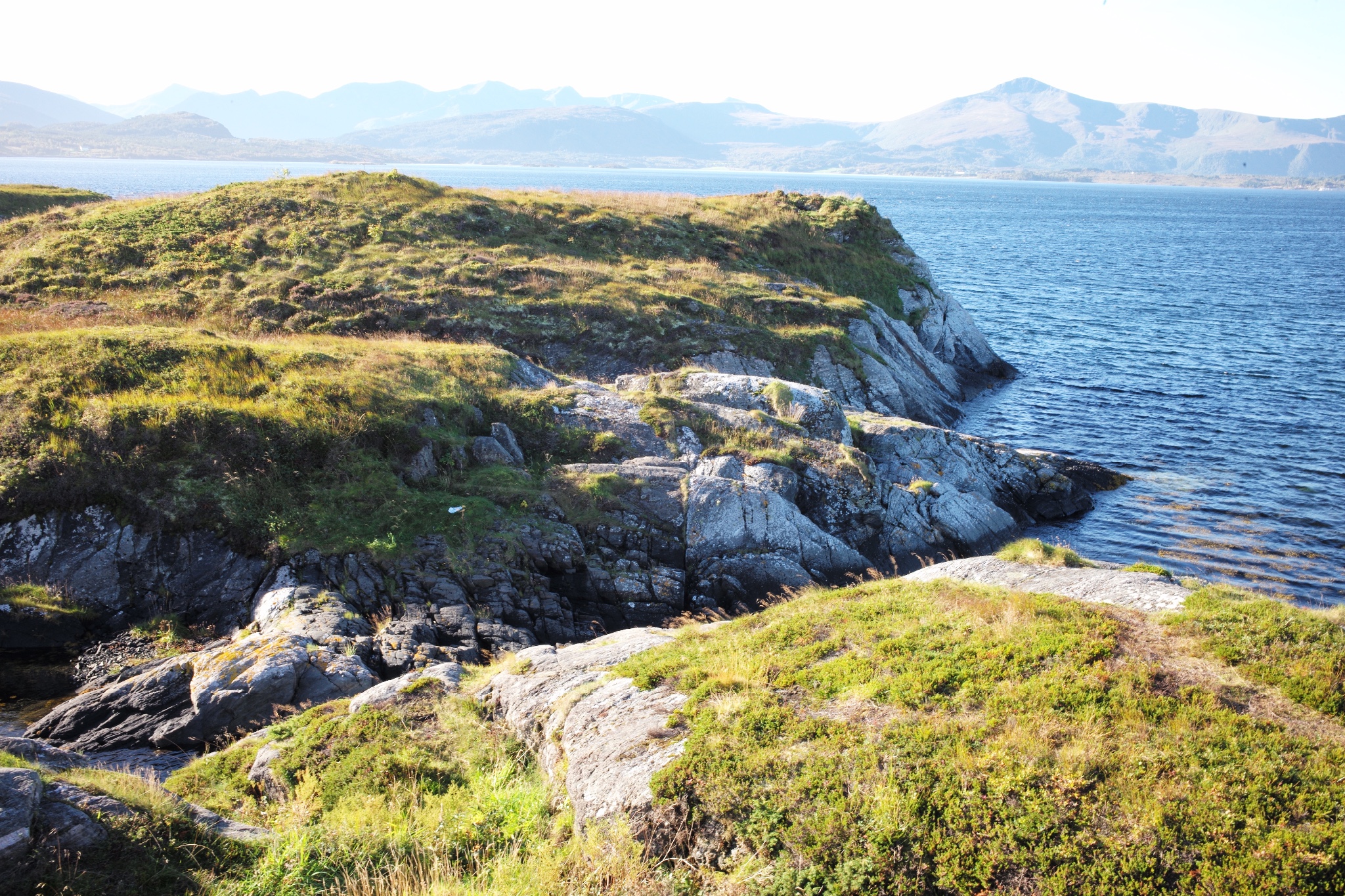 wKgBs1ZaiCaASnTxABl724OF02w74.jpeg?imageView2%2F2%2Fw%2F600%2Fh%2F600%2Fq%2F90