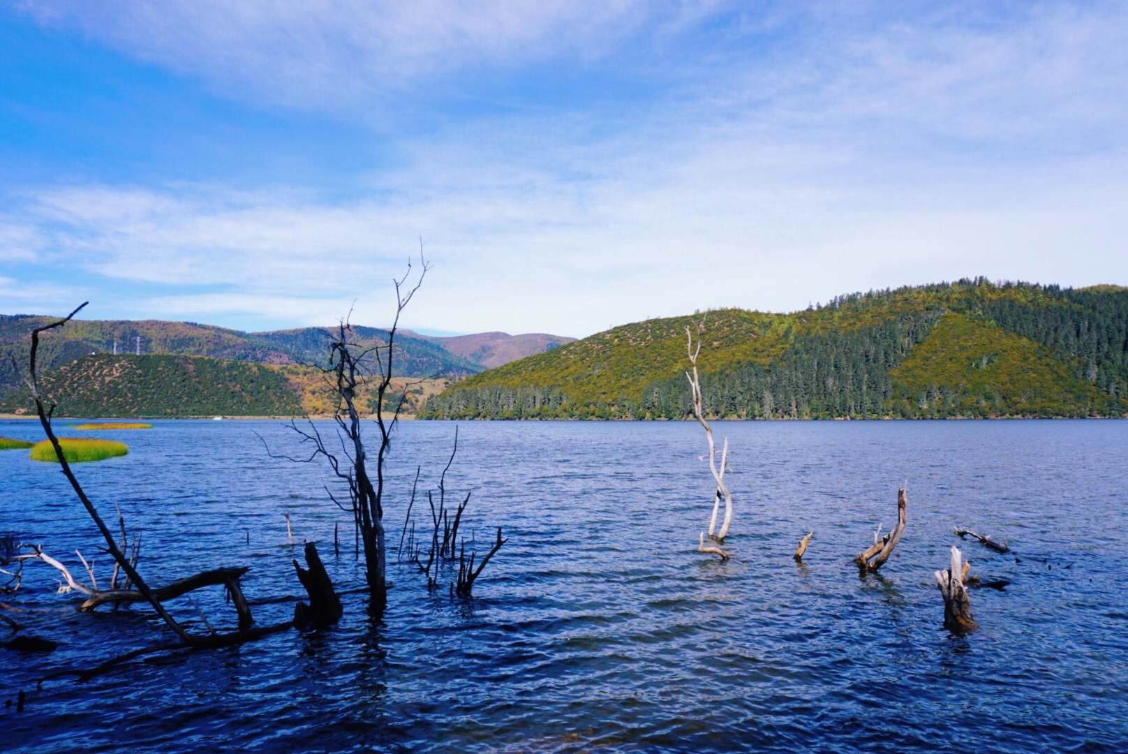 wKgBs1g0TTyAS7lQAAdbu6Vd-xc22.jpeg?imageView2%2F2%2Fw%2F600%2Fh%2F600%2Fq%2F90