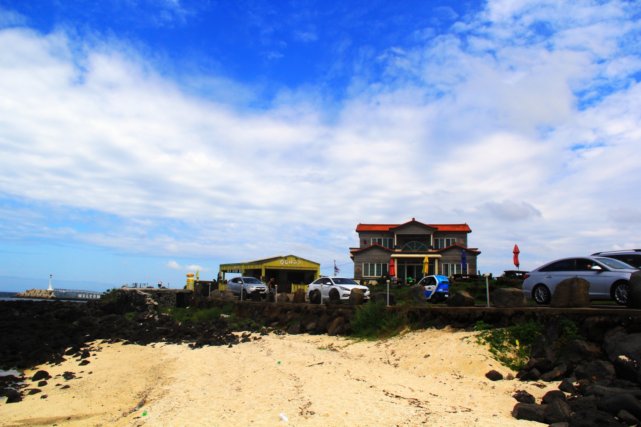 济州排名_济州真柏盆景图片(2)