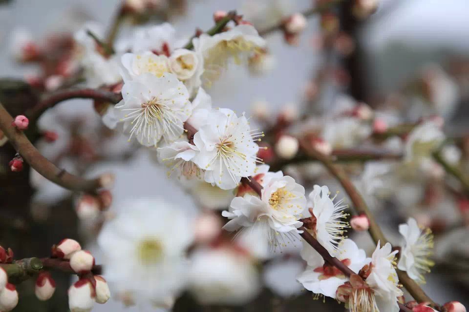 南京GDP20年上升趋势_南京烟(3)