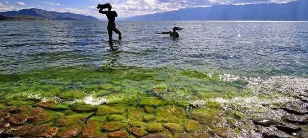 云南大理旅游攻略冬天三天 wKgBs1ZmnWGAOri8AADgpxZua3E52.jpeg?imageView2%2F2%2Fw%2F600%2Fh%2F600%2Fq%2F90