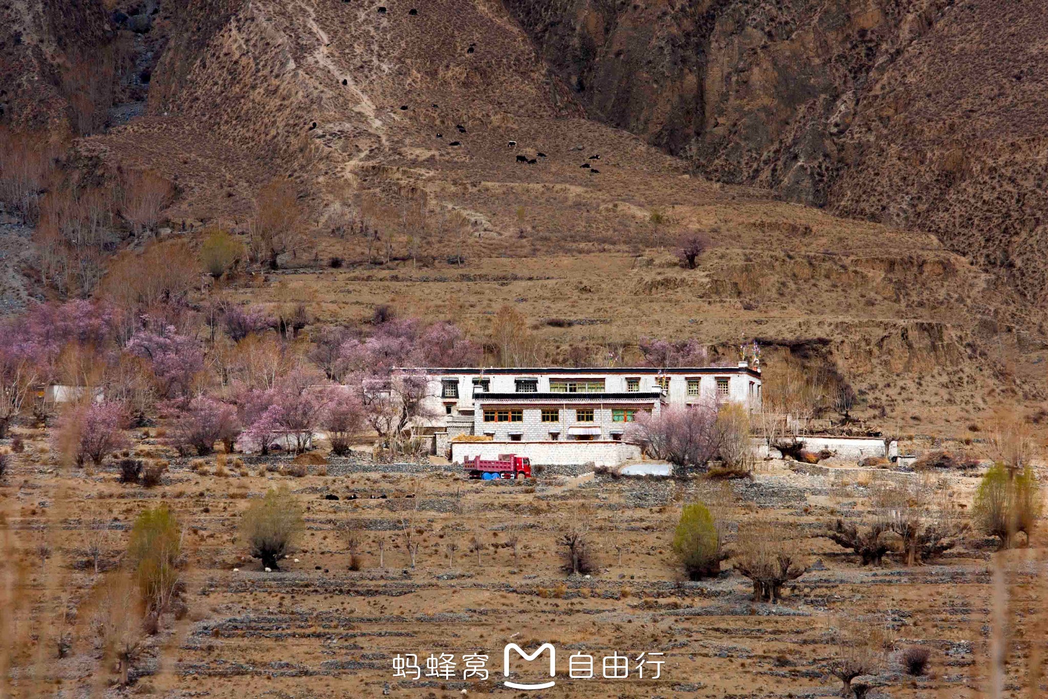 南木林县景点介绍,南木林县旅游景点,南木林县景点