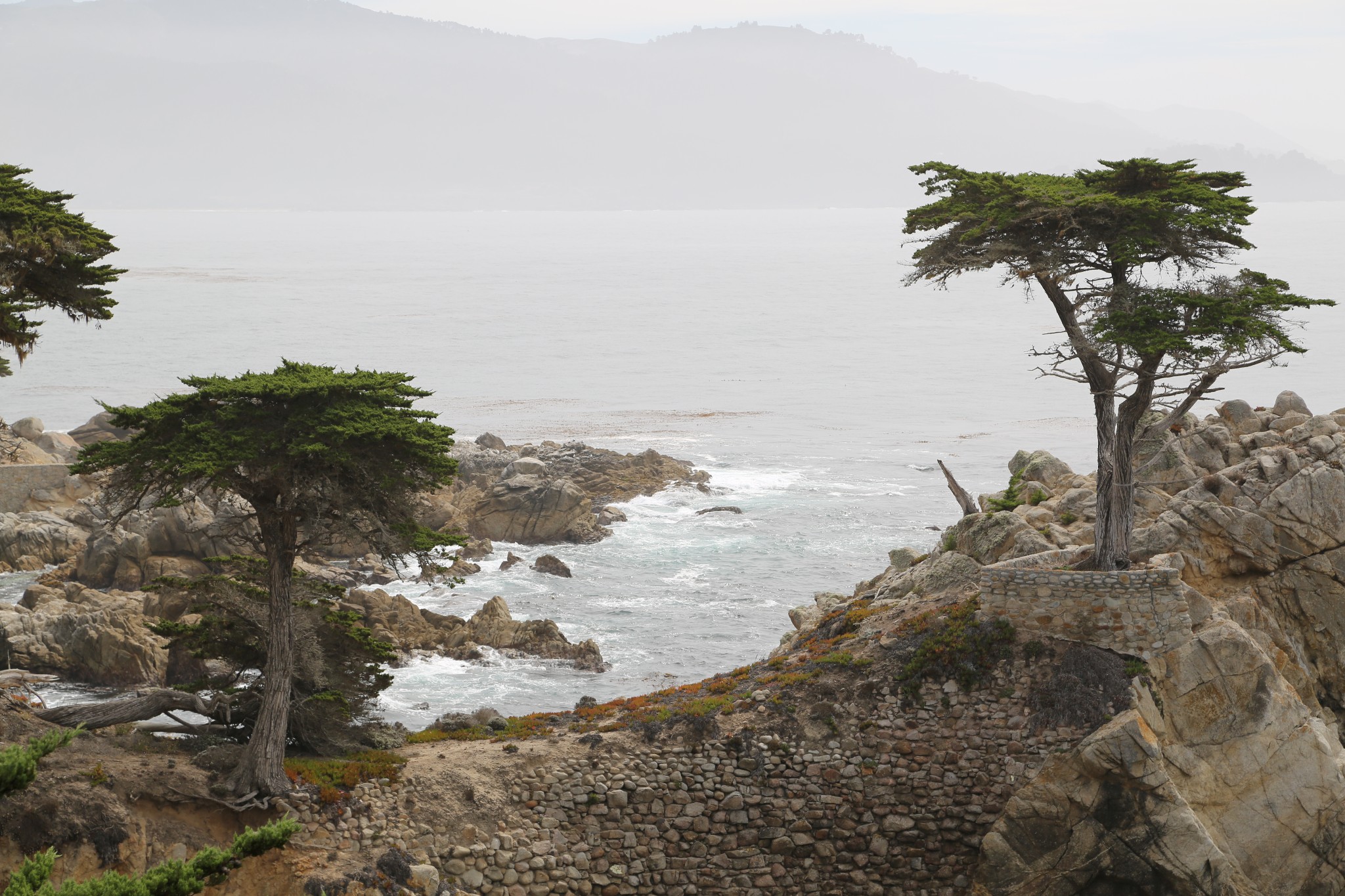 wKgBs1Y7ZPyANd8tAAsjozh2AHQ39.jpeg?imageView2%2F2%2Fw%2F600%2Fh%2F600%2Fq%2F90