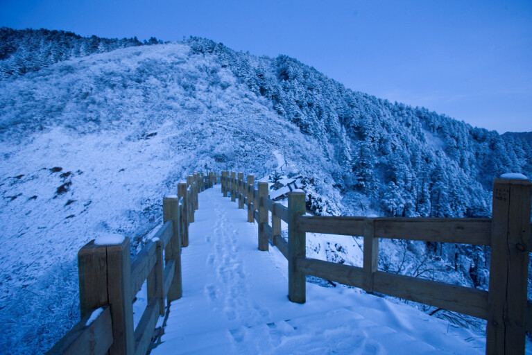 【西岭雪山,电子套票】 西岭雪山景区门票 往返鸳鸯池