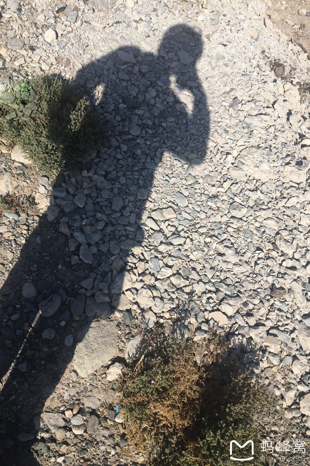        戈壁滩上给影子来张自拍