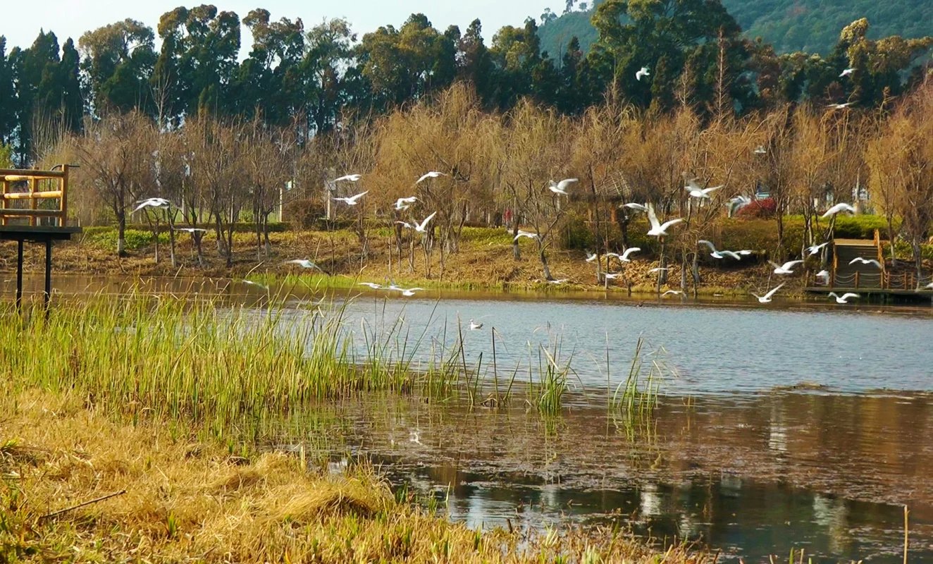 月亮湾湿地公园        