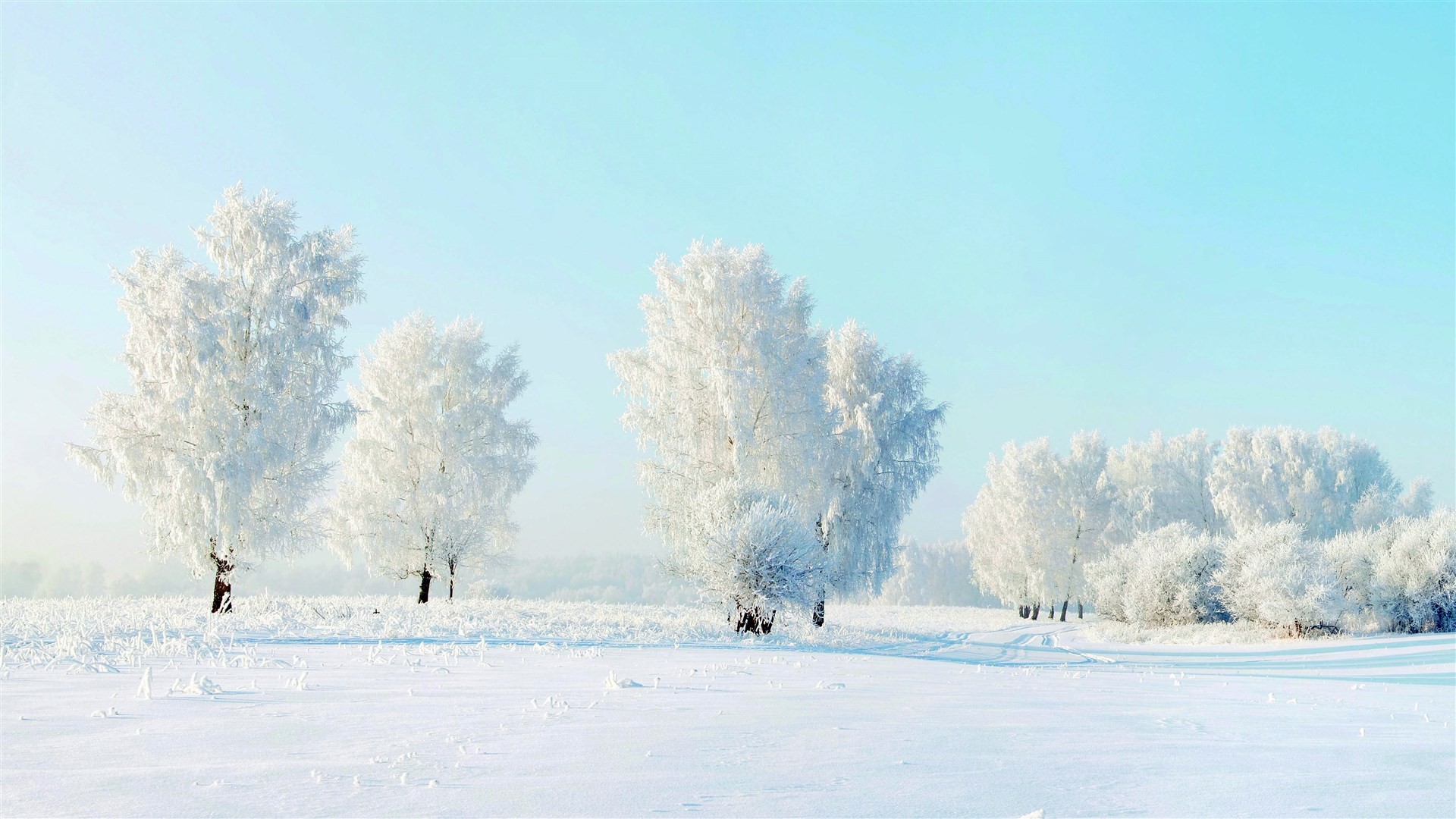 wKgBs1hH3faAIIrFAAX3XFcnhsg02.jpeg?imageView2%2F2%2Fw%2F510%2Fh%2F8000%2Fq%2F100