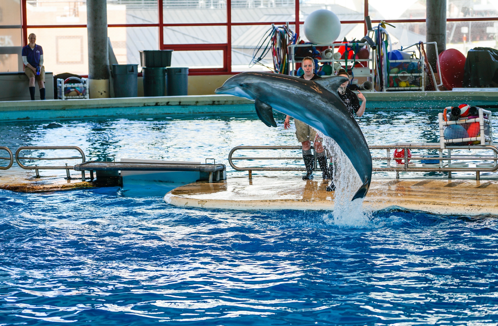 巴尔的摩国家水族馆      