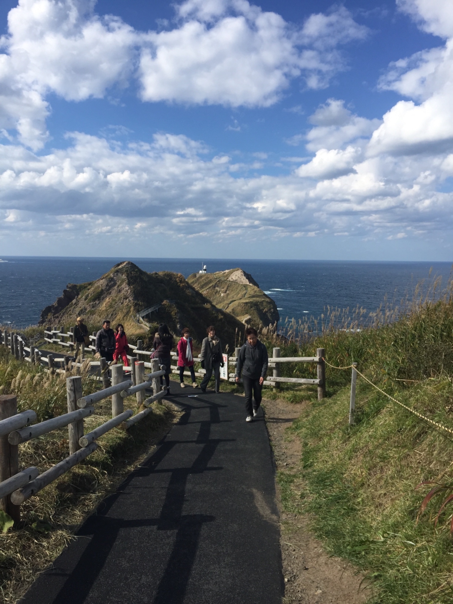 一个人的秋季北海道之旅,北海道旅游攻略 - 马蜂窝