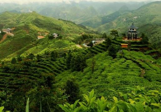 青岛茶山风景区电子票