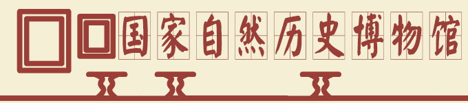 国家自然历史博物馆 国家自然历史博物馆