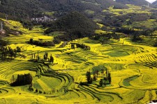 15年春节云贵7日游路线分享给大家! 15年春节云贵7日游路线分享给大家!
