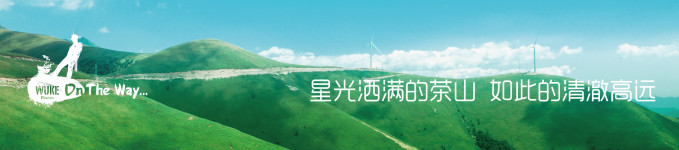 星光洒满的茶山,如此的清澈高远 星光洒满的茶山,如此的清澈高远
