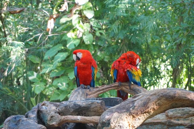 坎昆!坎昆!,坎昆旅游攻略