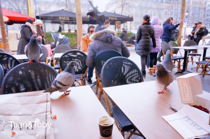 欧洲十五日浪荡之旅 我们终将会牵手旅行 罗马比萨或是巴黎 你看建筑 我看艺术 欧洲十五日浪荡之旅 我们终将会牵手旅行 罗马比萨或是巴黎 你看建筑 我看艺术