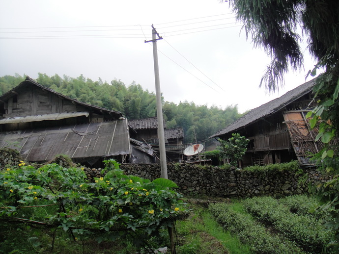 高山村【高山村】从十里翠竹长廊附近的一条岔路骑到高山村.