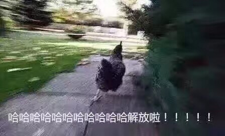 wKgBZ1jduRKAaLFcAACEzlVioy816.jpeg?imageView2%2F2%2Fw%2F680%2Fq%2F90