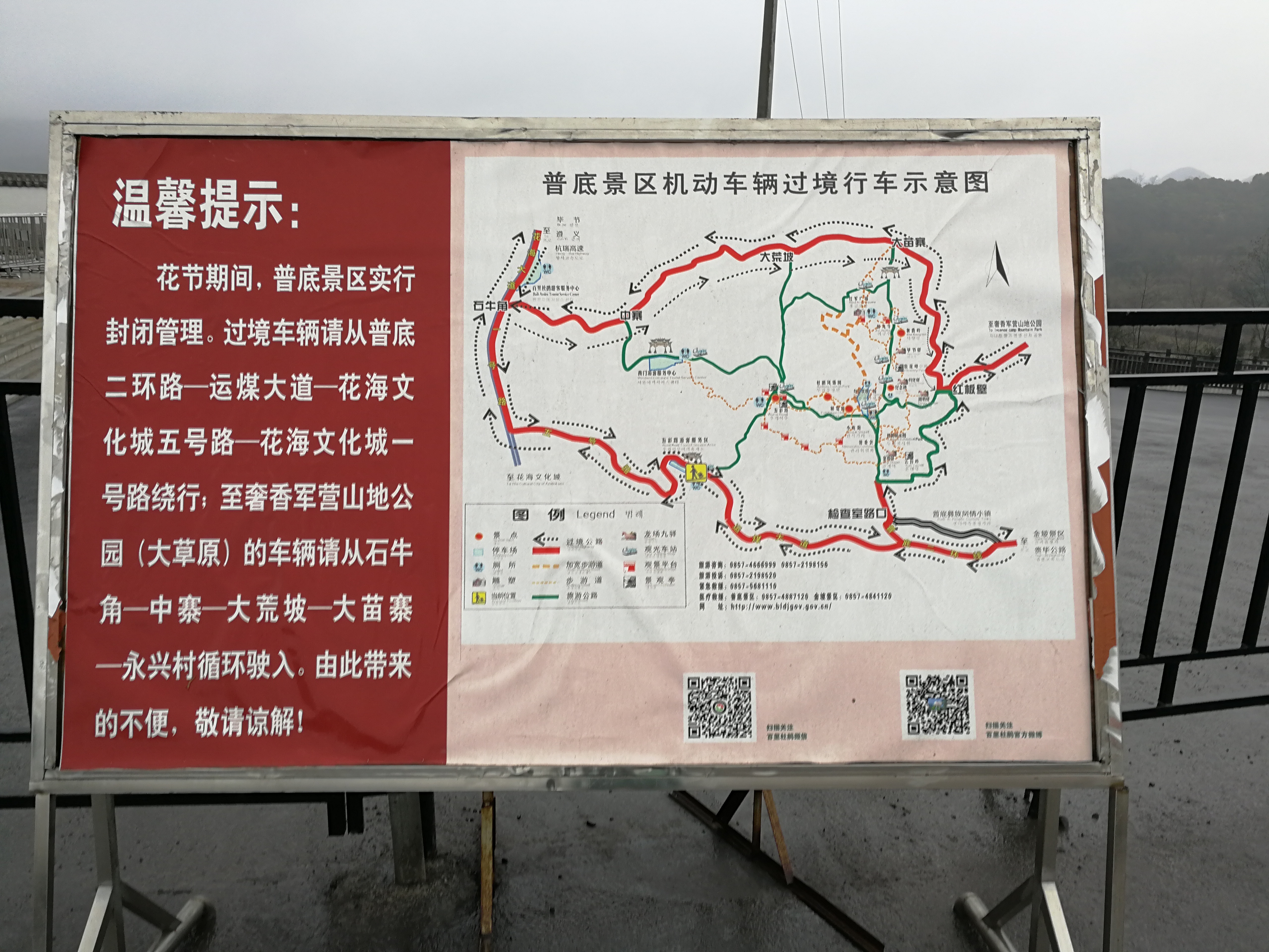 贵州毕节百里杜鹃地址图片