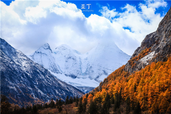 wKgBZ1m8oJmAMwkLAAGqxqtOxeY88.jpeg?imageView2%2F2%2Fw%2F600%2Fq%2F90