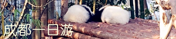 成都一日游 成都一日游