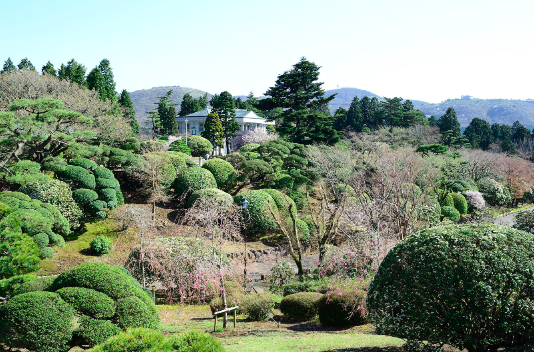 鐵定發團 鎌倉高校前站 箱根蘆之湖 鎌倉小町通 恩賜箱根公園中文拼車