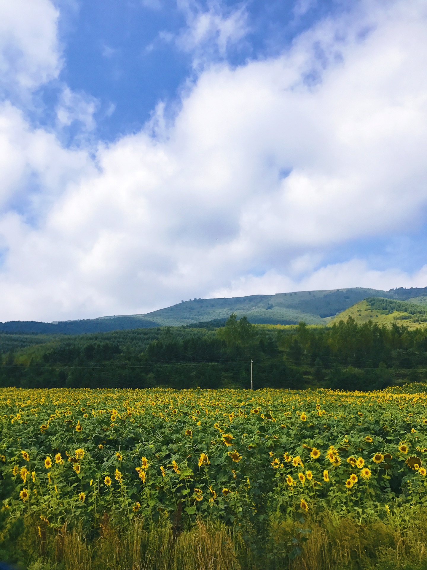 wKgBZ1mg_kiAZUB-AAt6u9ynMCk39.jpeg?imageView2%2F2%2Fw%2F680%2Fq%2F90