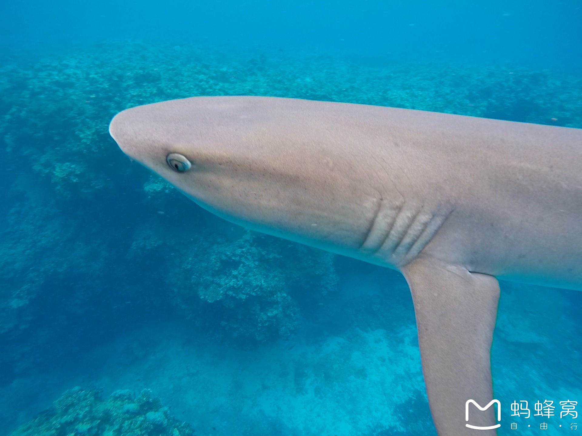 wKgBZ1onPHuAGGcfAAVZ1Pn_UV078.jpeg?imageView2%2F2%2Fw%2F680%2Fq%2F90%7CimageMogr2%2Fstrip%2Fquality%2F90