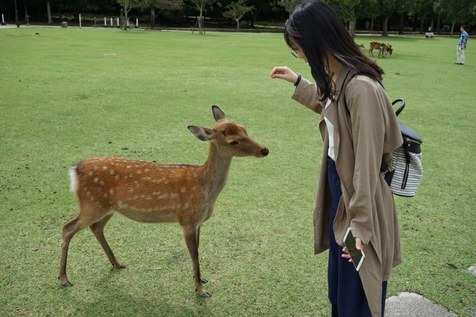 平成29年初秋~京都·神户·奈良·大阪自由行