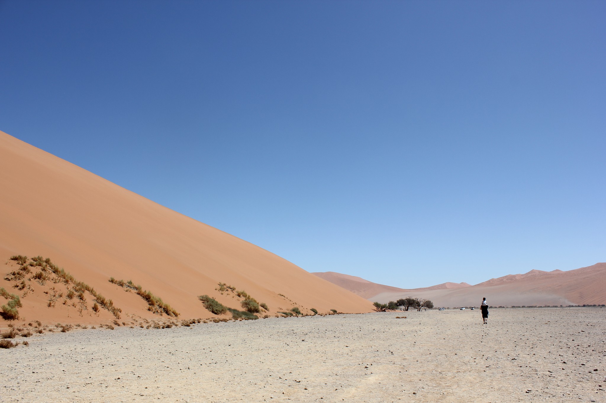 世界上最古老的沙漠在哪里？
