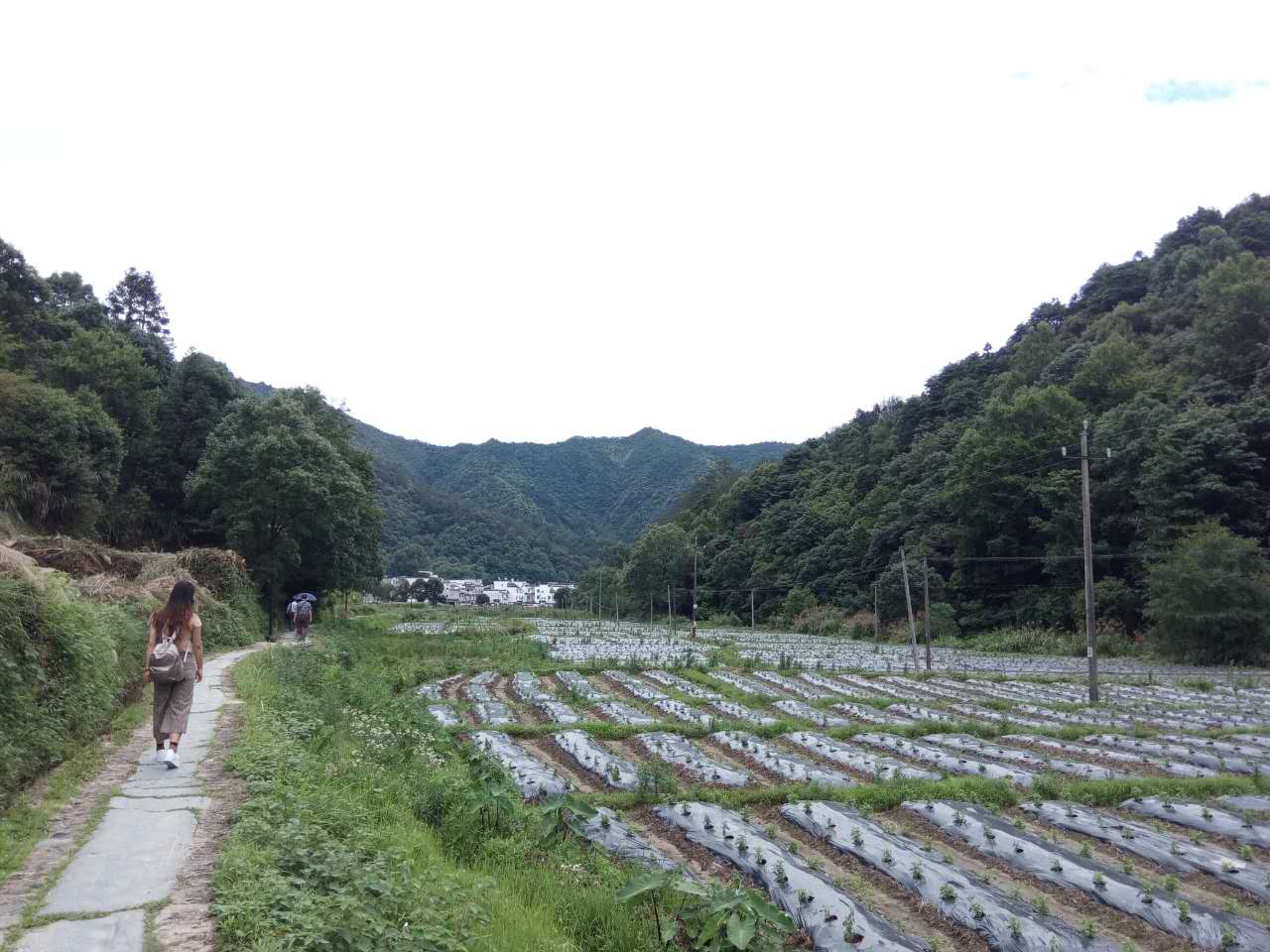 大佳何村人口_大佳何团联村(3)