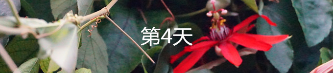 4 4