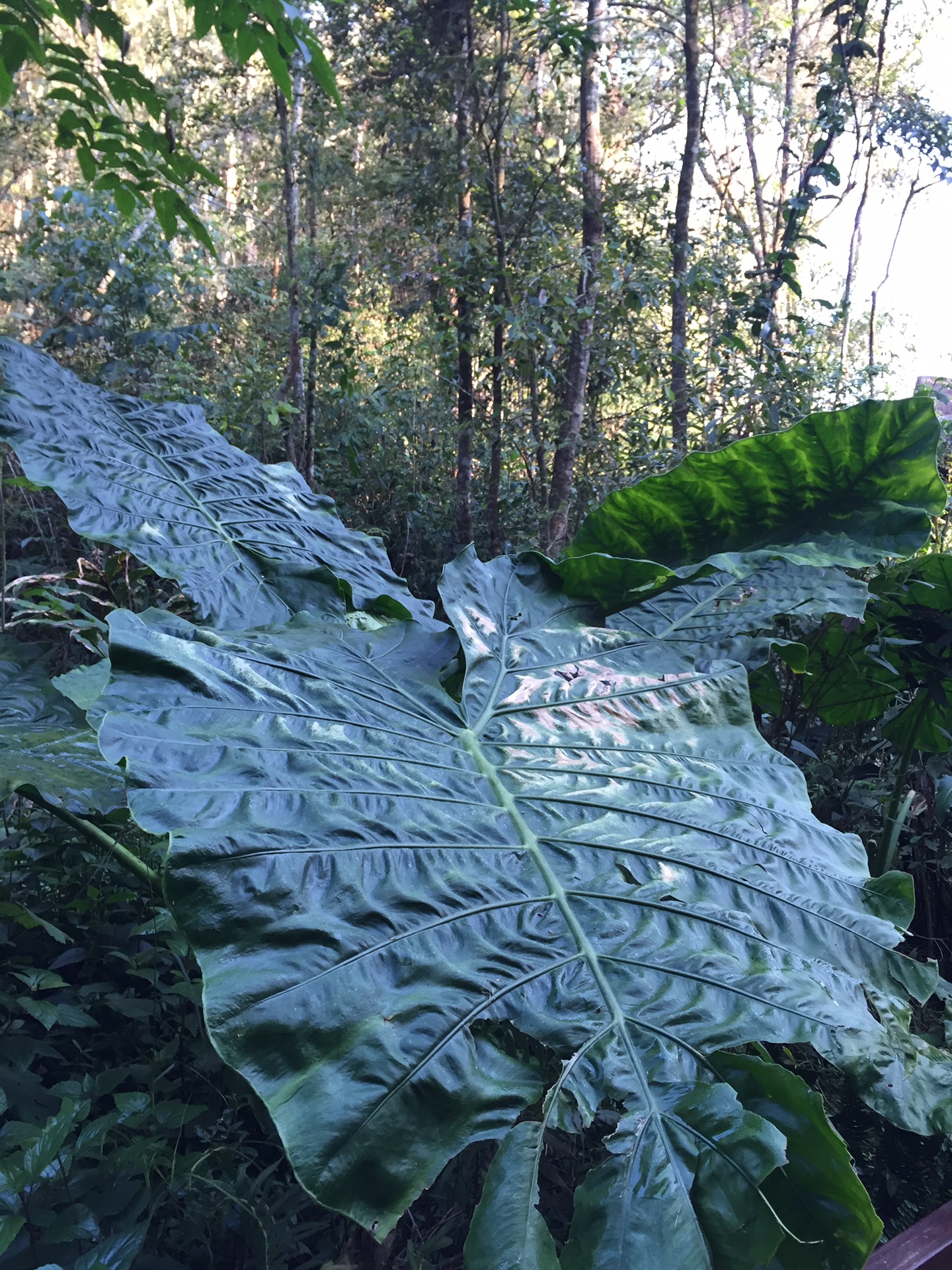 华西村人均收入_人均6000元一位(2)