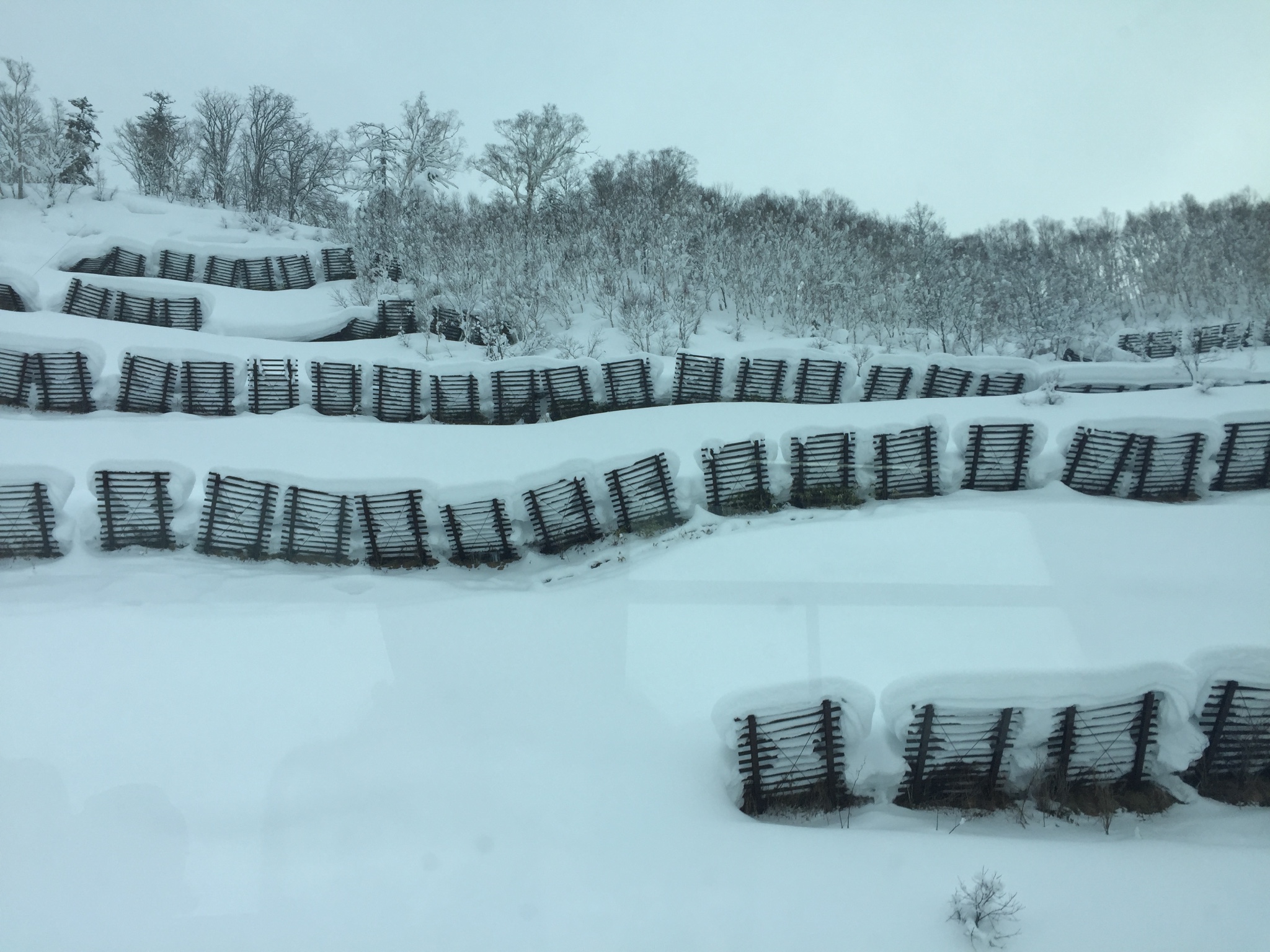 痛风能吃什么食物表图_人均6000能吃到什么(2)