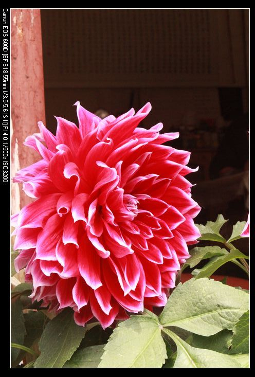 wKgB21A8K6TF_RRiAATdipQMNsY91.jpeg?imageView2%2F2%2Fw%2F600%2Fq%2F90