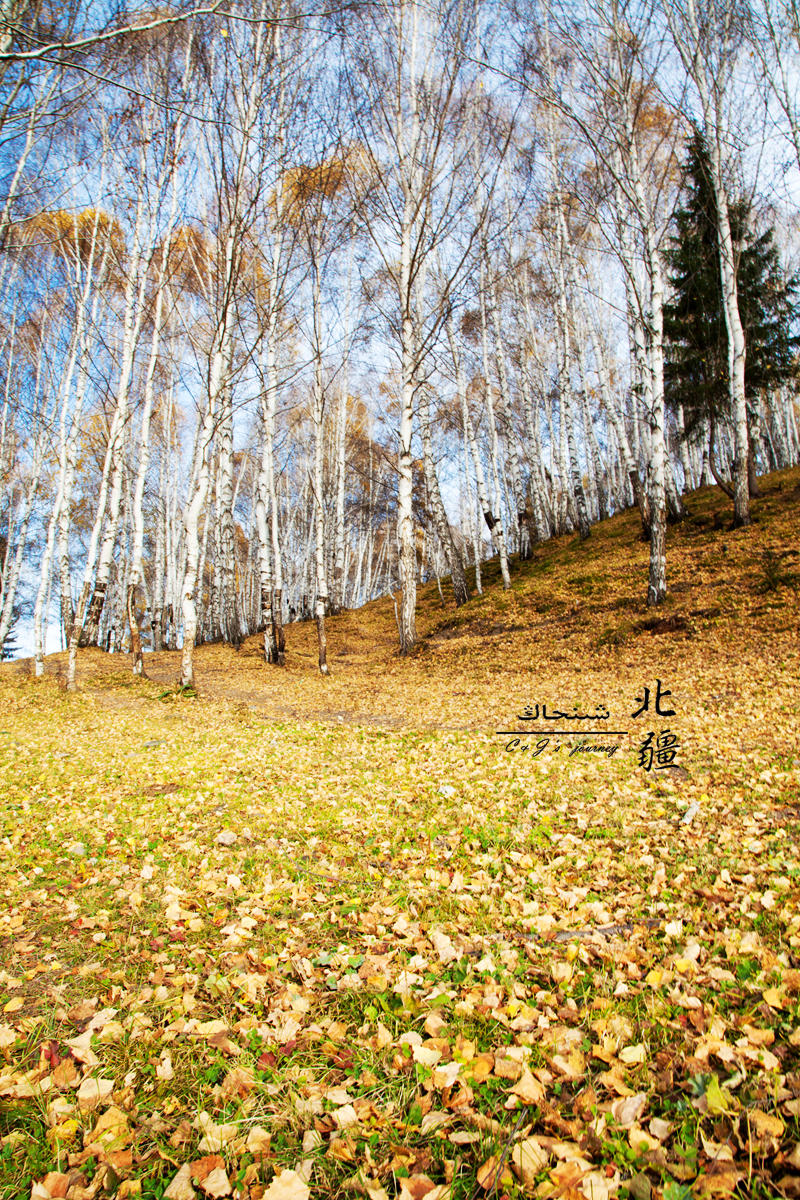 高山青原唱二胡曲谱(3)