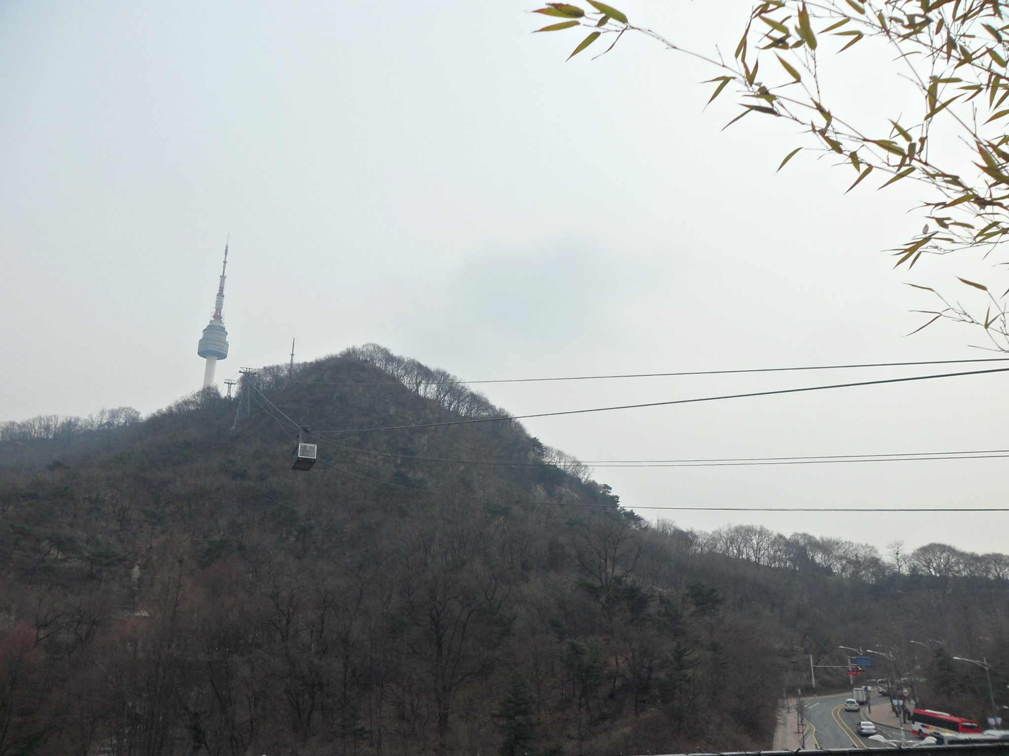 人追星猜成语_追星的人(3)