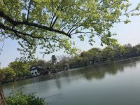西湖千年情 西湖千年情