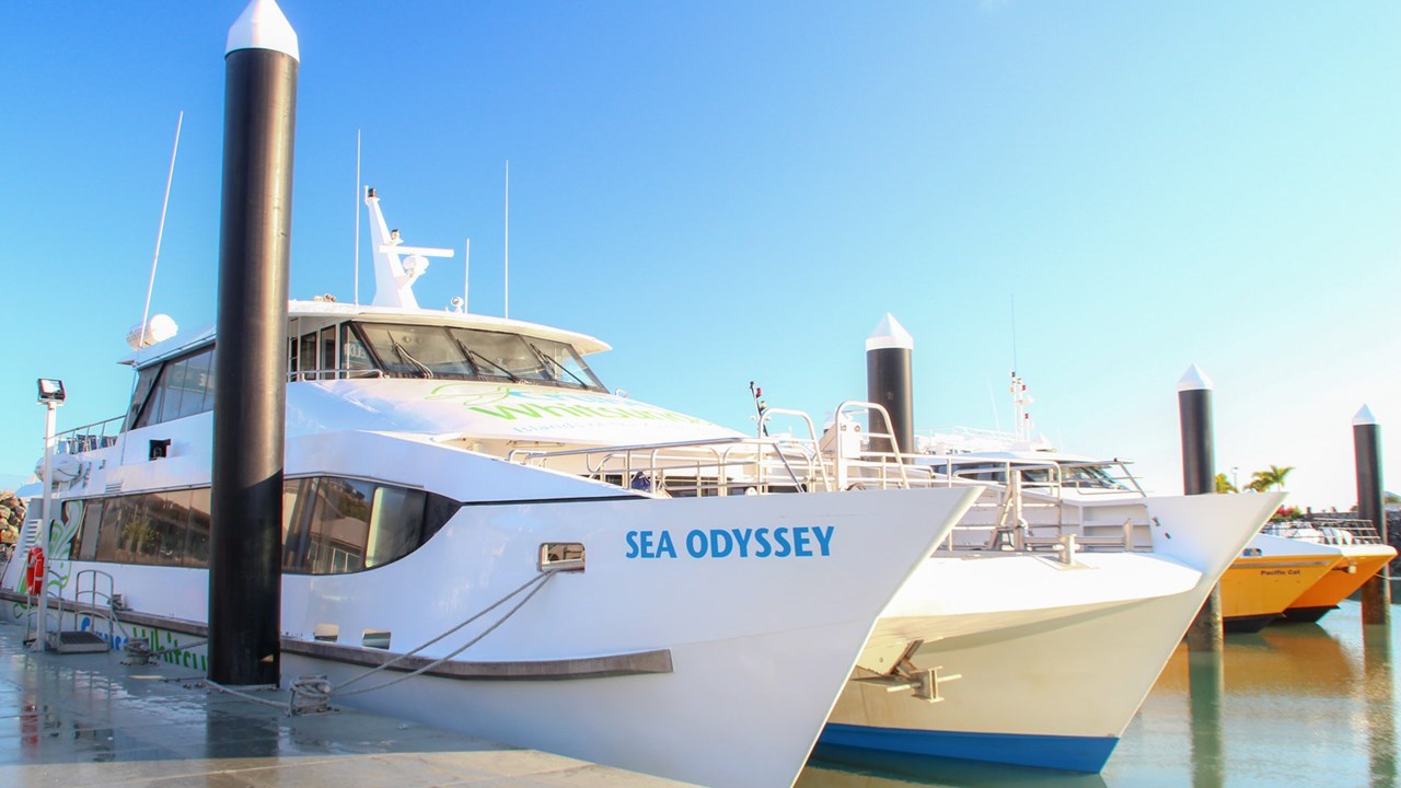 圣灵群岛 白天堂沙滩双层游船一日游(hill inlet 观景台 徒步国家公园