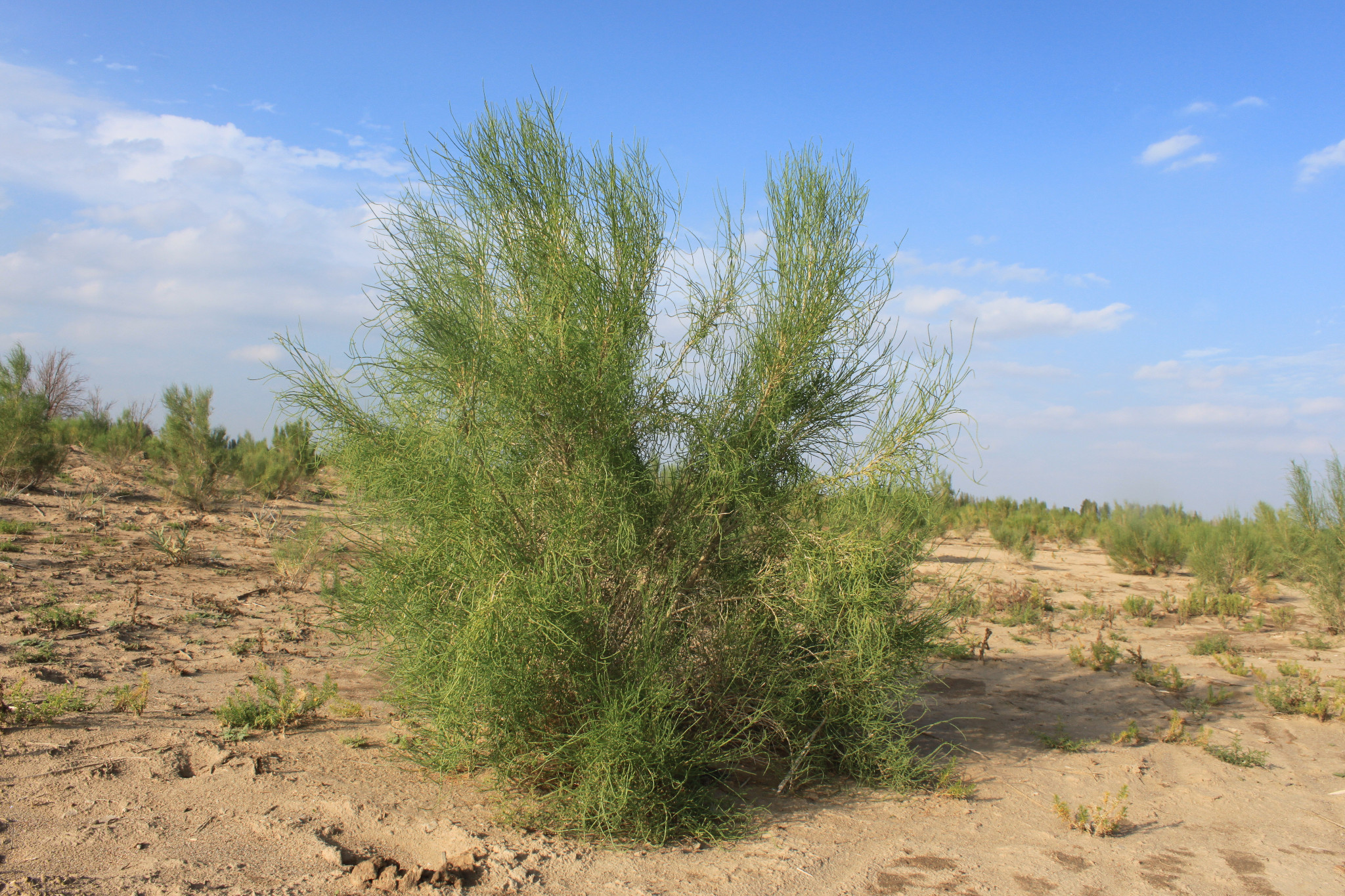 wKgBs1bZkTiAD_5tABKmWMN1FIY89.jpeg?imageView2%2F2%2Fw%2F680%2Fq%2F90