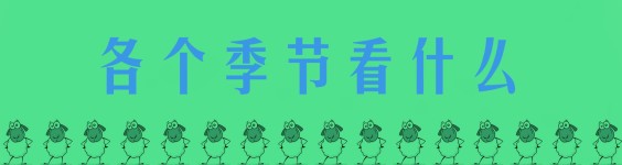 各个季节看什么 各个季节看什么