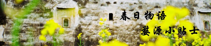 小贴士 小贴士