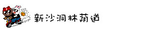 新沙洞林荫道 新沙洞林荫道