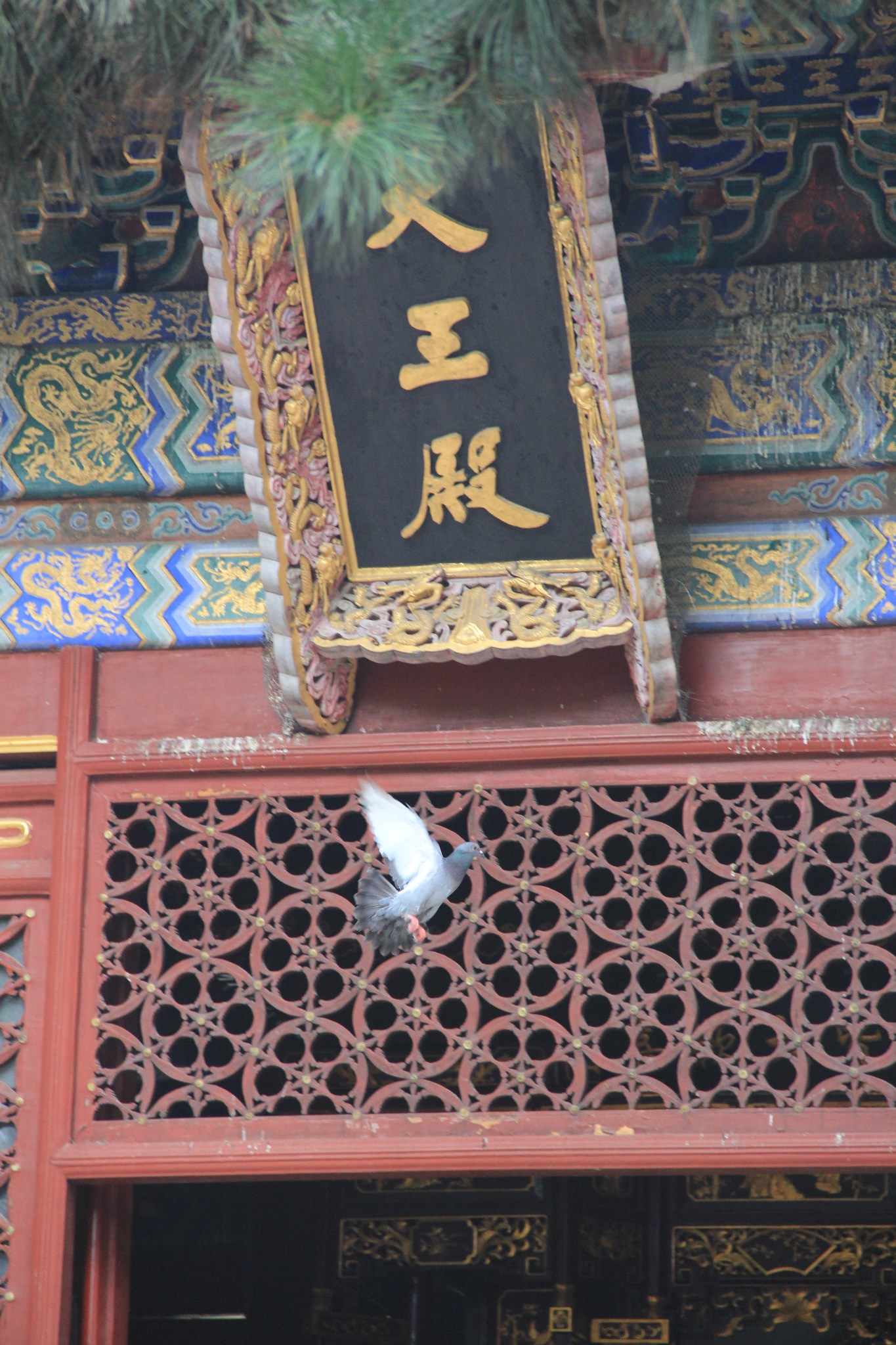 潭柘寺游记