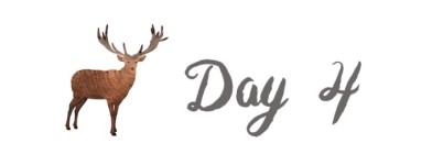 Day 4 再一次的斯德哥尔摩老城区游 Day 4 再一次的斯德哥尔摩老城区游