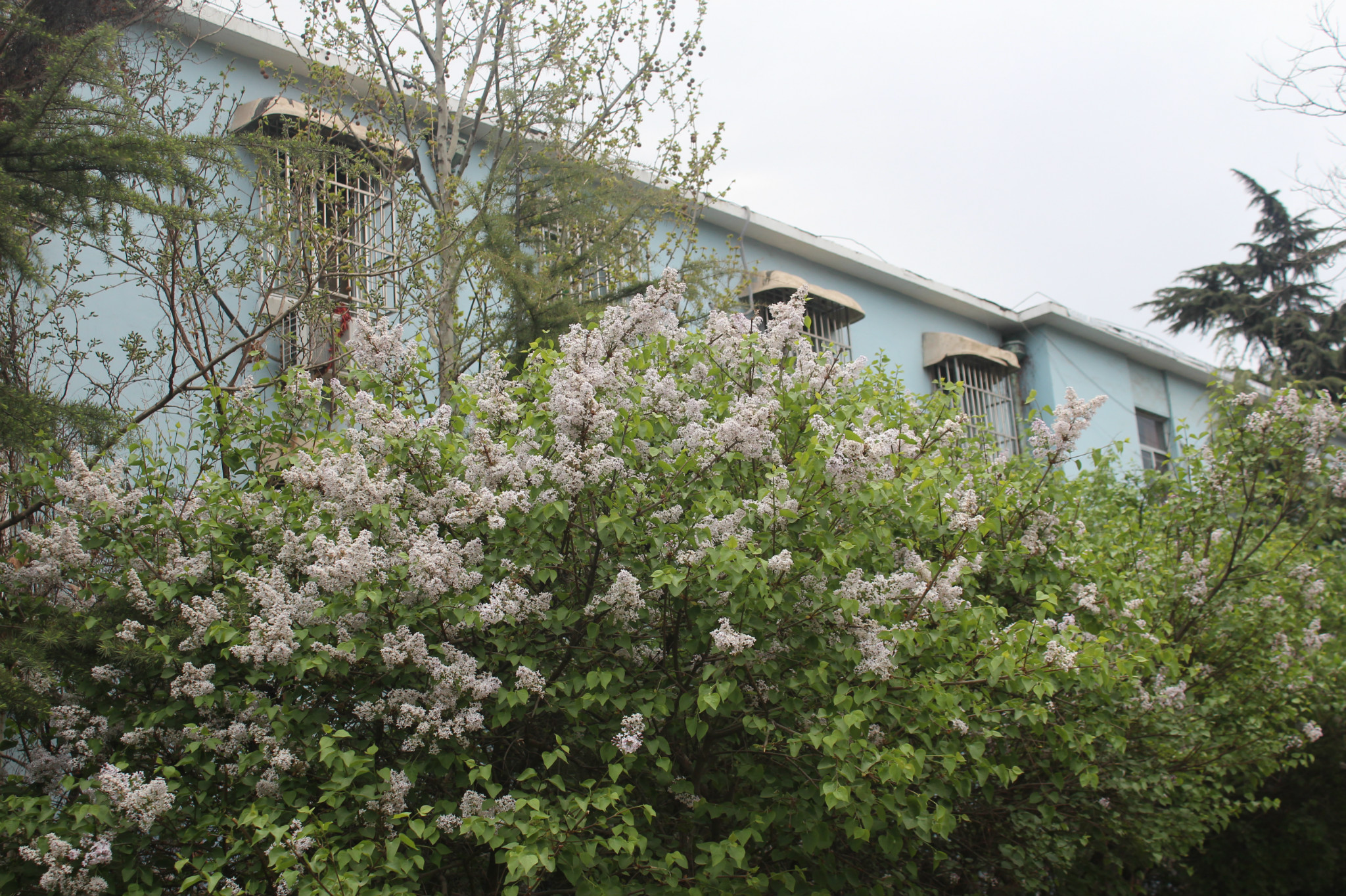 拧成什么成语_拧成一股绳图片(2)