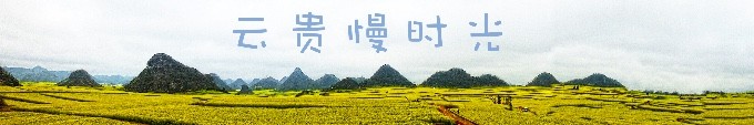 预告 预告