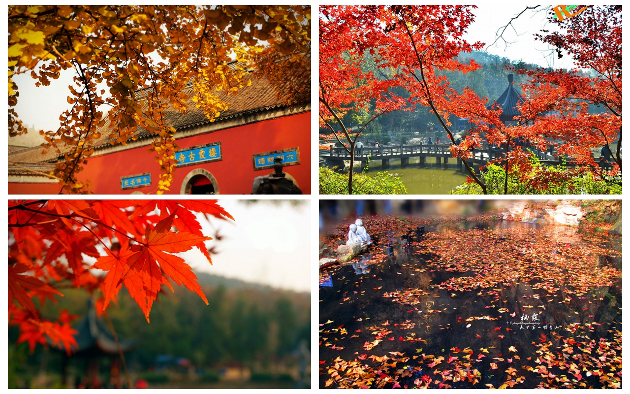 南京一年最美的时候，带上相机带上Ta，去赏红叶泡温泉（附四种经典玩法推荐）